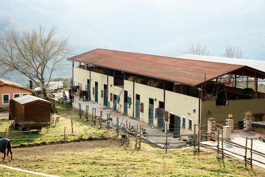 La Tenuta - Resort Agricolo Casaprota Exterior foto