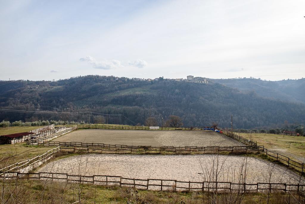 La Tenuta - Resort Agricolo Casaprota Exterior foto